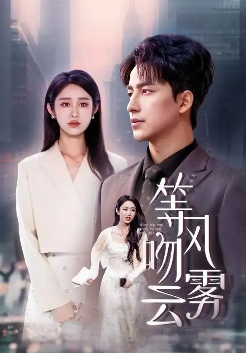 经典欧美剧集长夜将尽海报